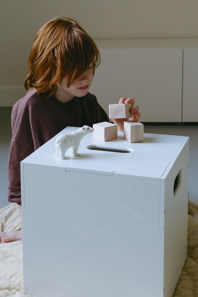 Multifunktsionaalne hoiukast White Cube Hoiu