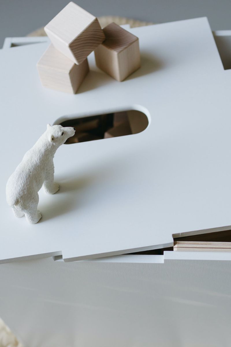 Multifunktsionaalne hoiukast White Cube Hoiu