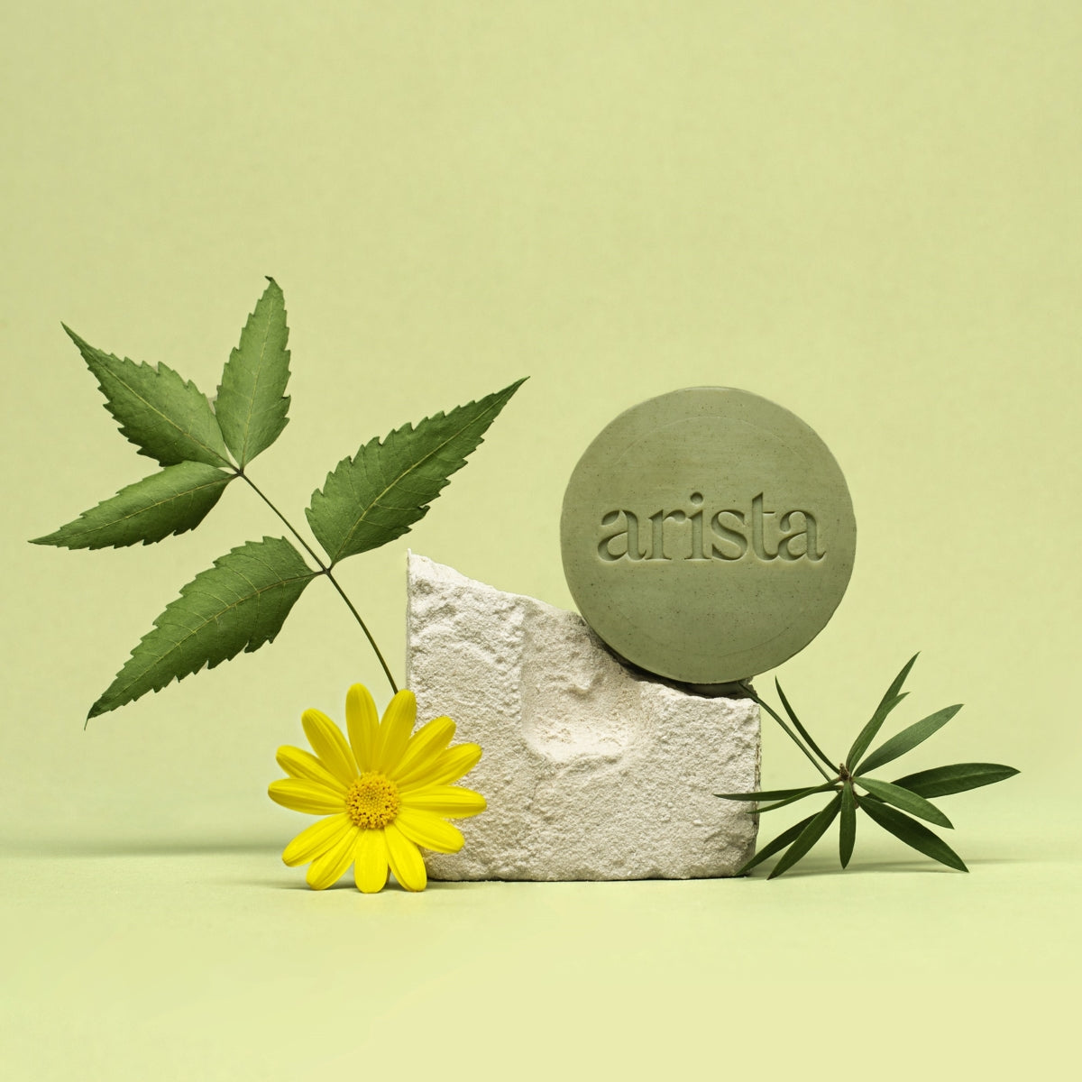 Anti-dandruff shapoo bar Arista Ayurveda